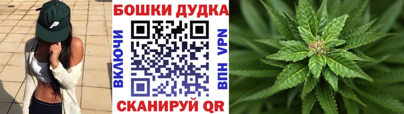 Купить где  Покровск  Каннабис White Widow 